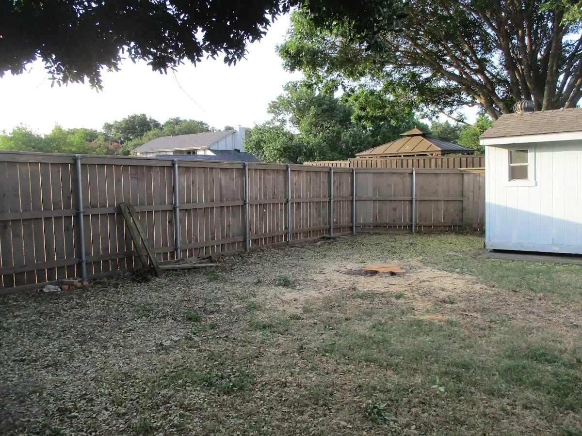 Cleared yard after professional tree removal in Glenolden